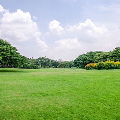 Lawn fertilization san antonio