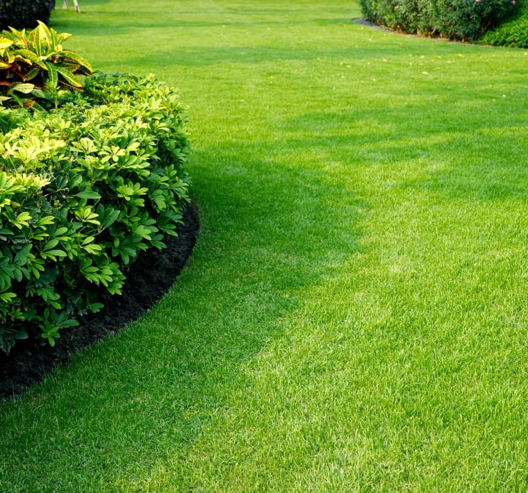 Lawn Control of Texas Banner