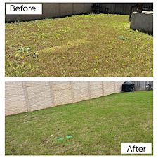 Bermuda-Turf-Turnaround-After-First-Treatment 0