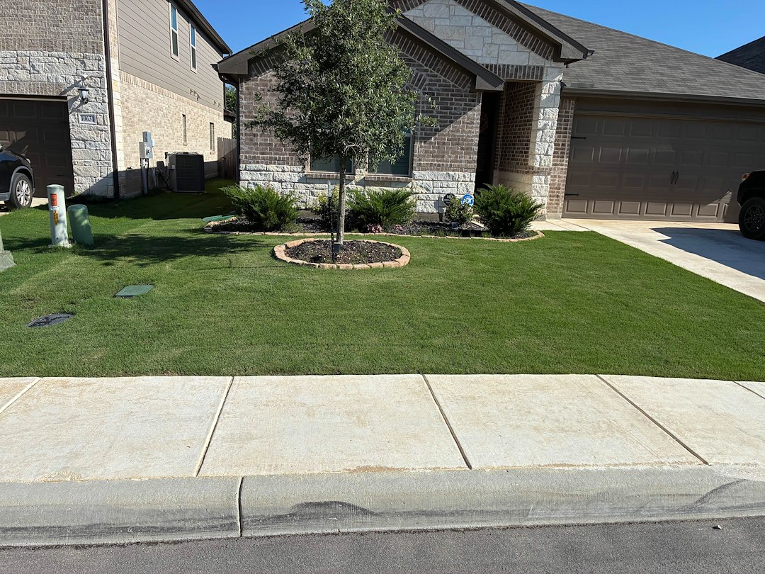 From Rough to Remarkable: The Power of Professional Topdressing in Boerne