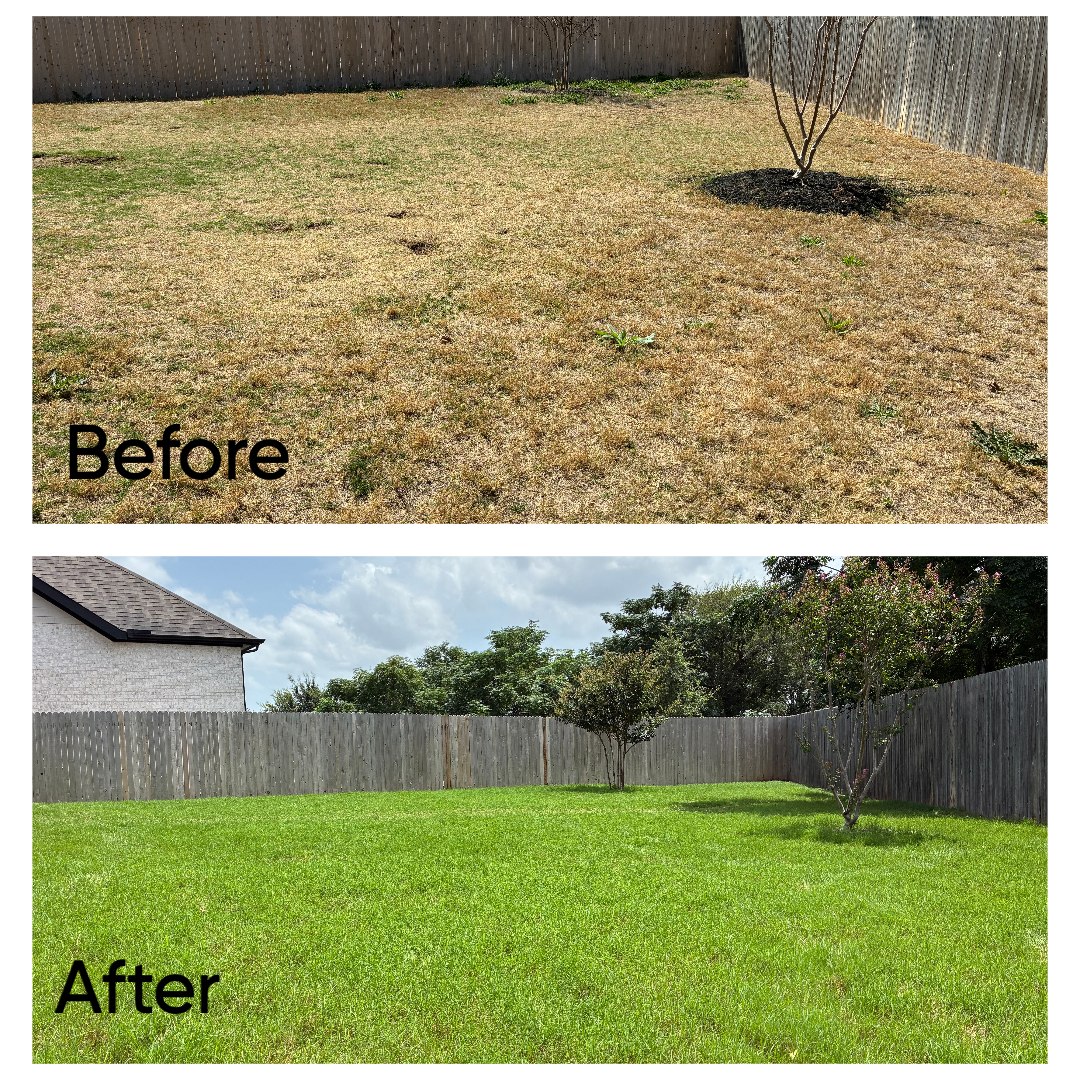 From Weeds Everywhere to a Clean, Green Lawn