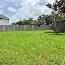 From-Weeds-Everywhere-to-a-Clean-Green-Lawn 0