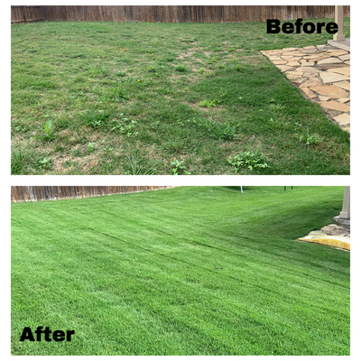 Lawn recover from weed control and fertilizer program