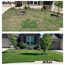 Lawn Recover From Weed Control and Fertilizer Program in Fair Oaks Ranch, TX 0
