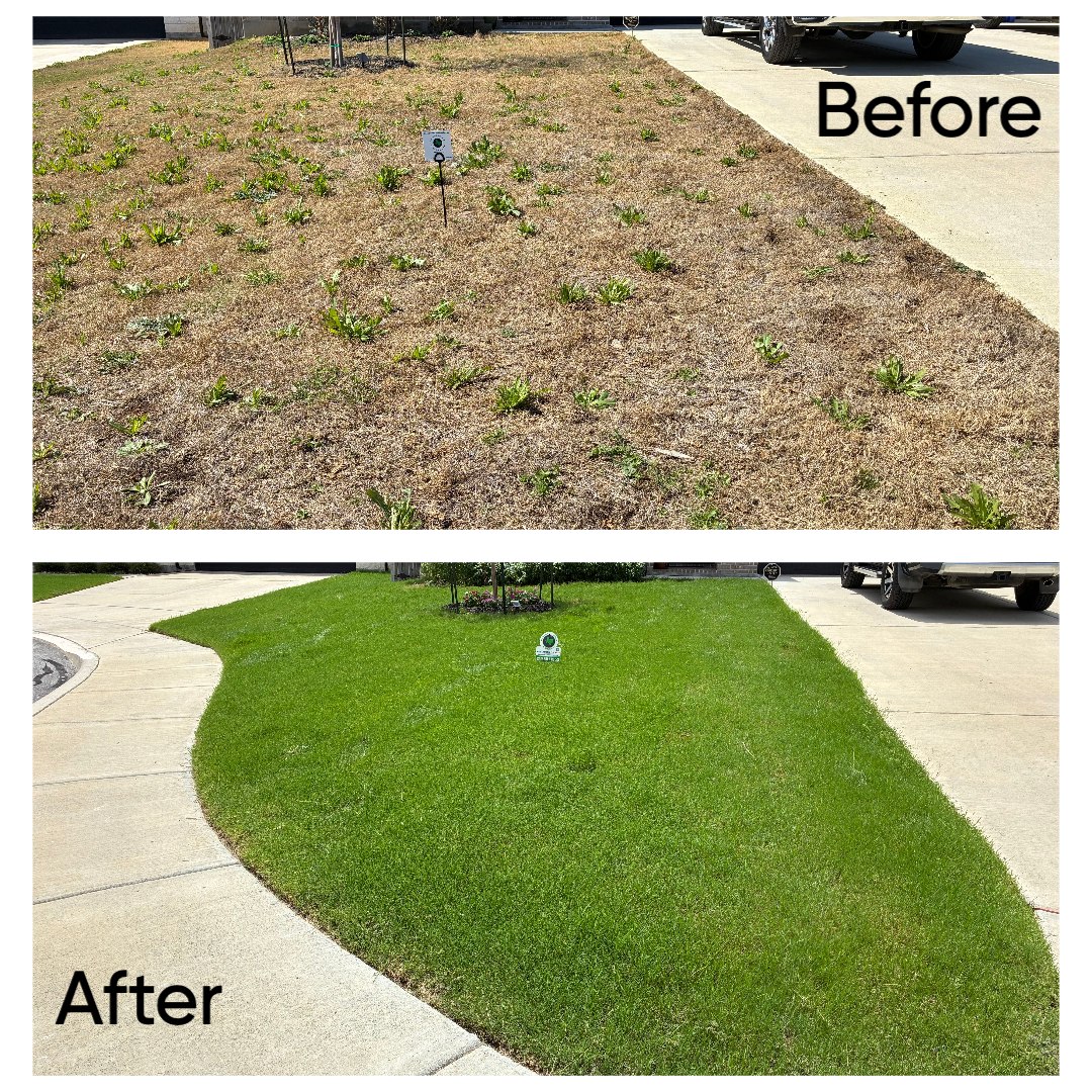 The Lawn Everyone on the Street Notices