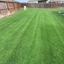 Lawn Recovery from Weed Control and Fertilizer Program 0