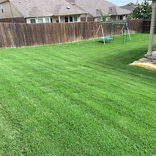 Lawn Recovery from Weed Control and Fertilizer Program 1