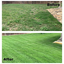 Lawn Recovery from Weed Control and Fertilizer Program 2