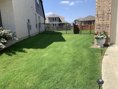 Weed Control and Fertilizer For Neighbors