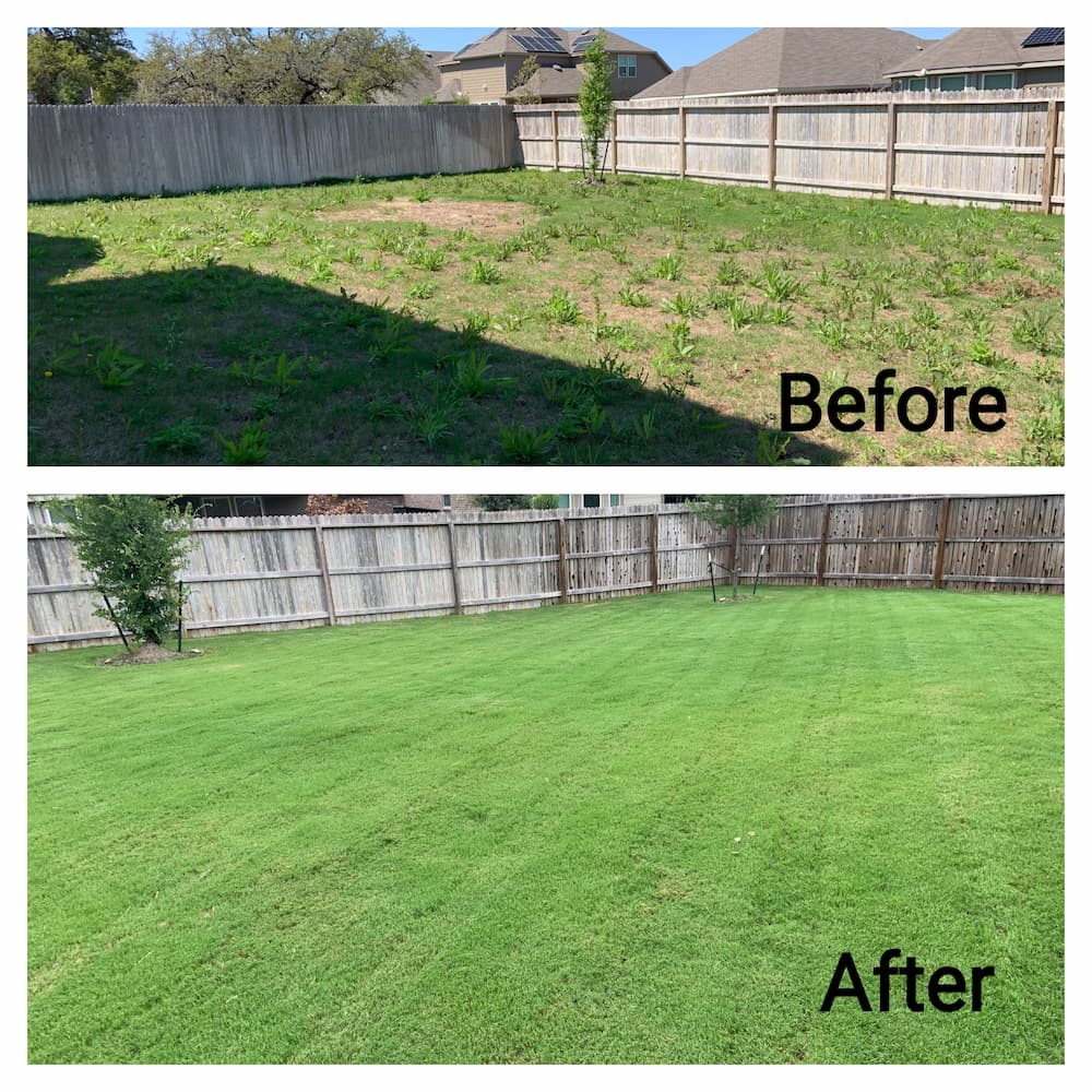 Weed Control and Fertilizer Transformation in Fair Oaks Ranch, TX Thumbnail