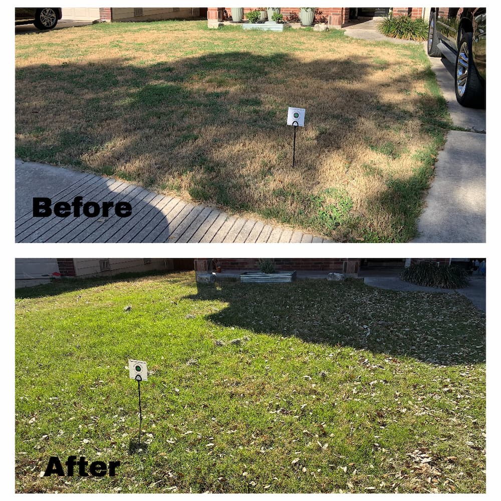 Weed Control and Fertilizer Transformation in San Antonio, TX