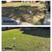 Weed Control and Fertilizer Transformation in San Antonio, TX 0