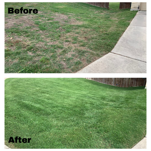 Zoysia Lawn Recovery Fair Oaks Ranch, TX