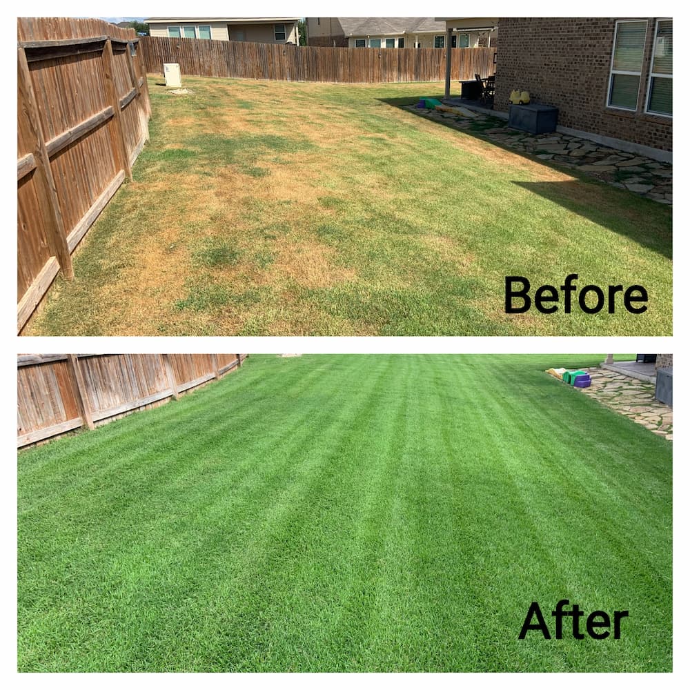Zoysia Lawn Recovery in Fair Oaks Ranch, TX