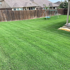 Zoysia Lawn Recovery in Fair Oaks Ranch, TX 1