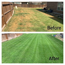 Zoysia Lawn Recovery in Fair Oaks Ranch, TX 0