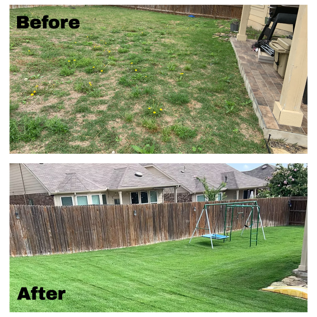 Zoysia Lawn Recovery in Fair Oaks Ranch