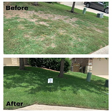 Zoysia-Lawn-Recovery-in-Fair-Oaks-Ranch-1 0