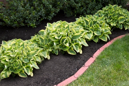 Garden Bed Maintenance