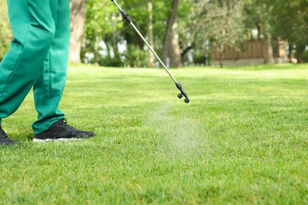 Lawn Pest Control